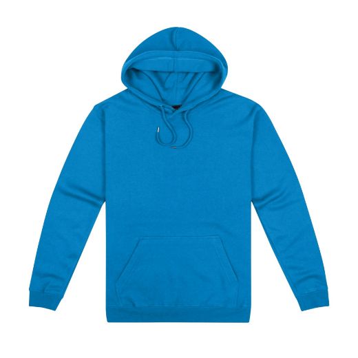 Picture of Origin Hoodie - Mens