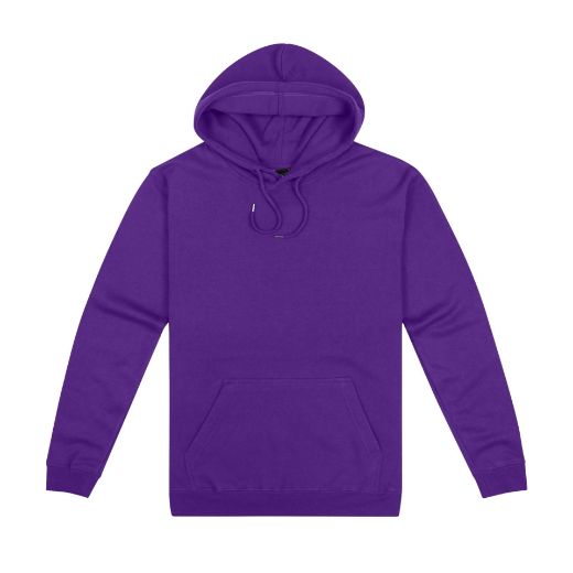 Picture of Origin Hoodie - Mens