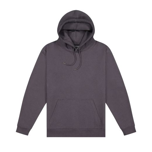 Picture of Origin Hoodie - Mens