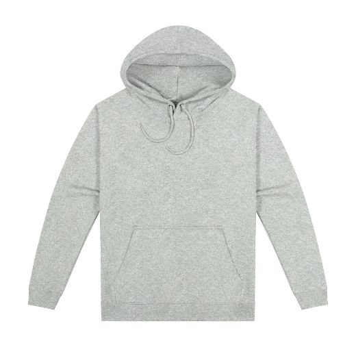 Picture of Origin Hoodie - Mens