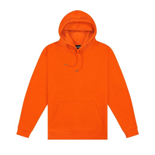 Picture of Origin Hoodie - Mens