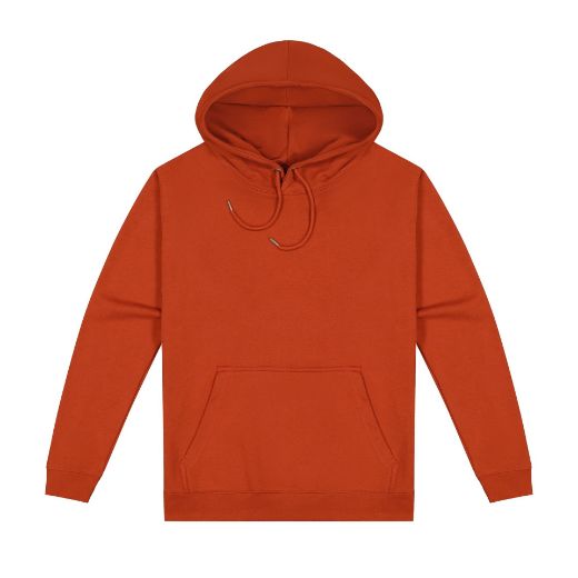 Picture of Origin Hoodie - Mens
