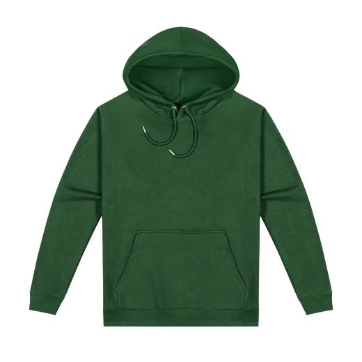 Picture of Origin Hoodie - Mens