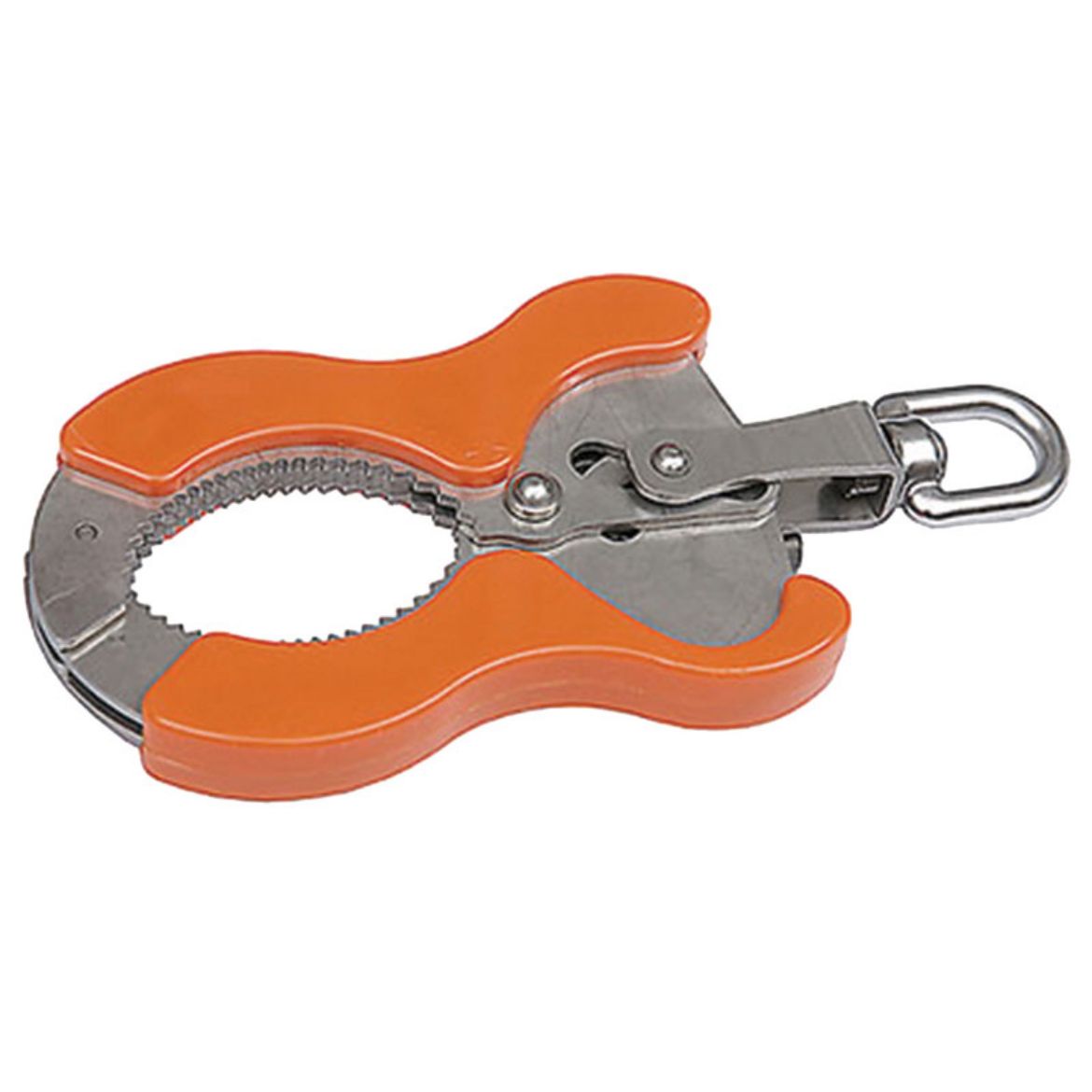 Picture of Scaffclamp