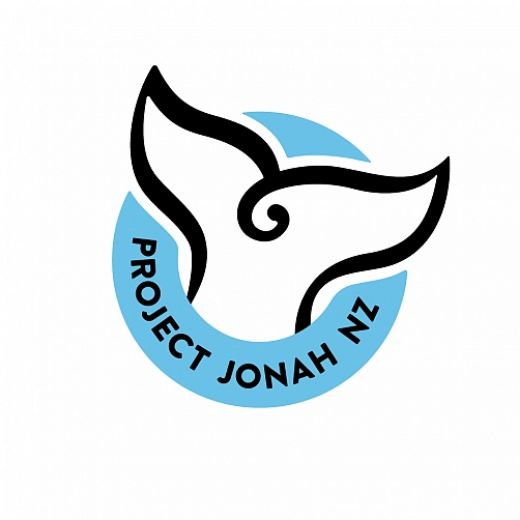 Picture of The Maui Safety Shoe - Black